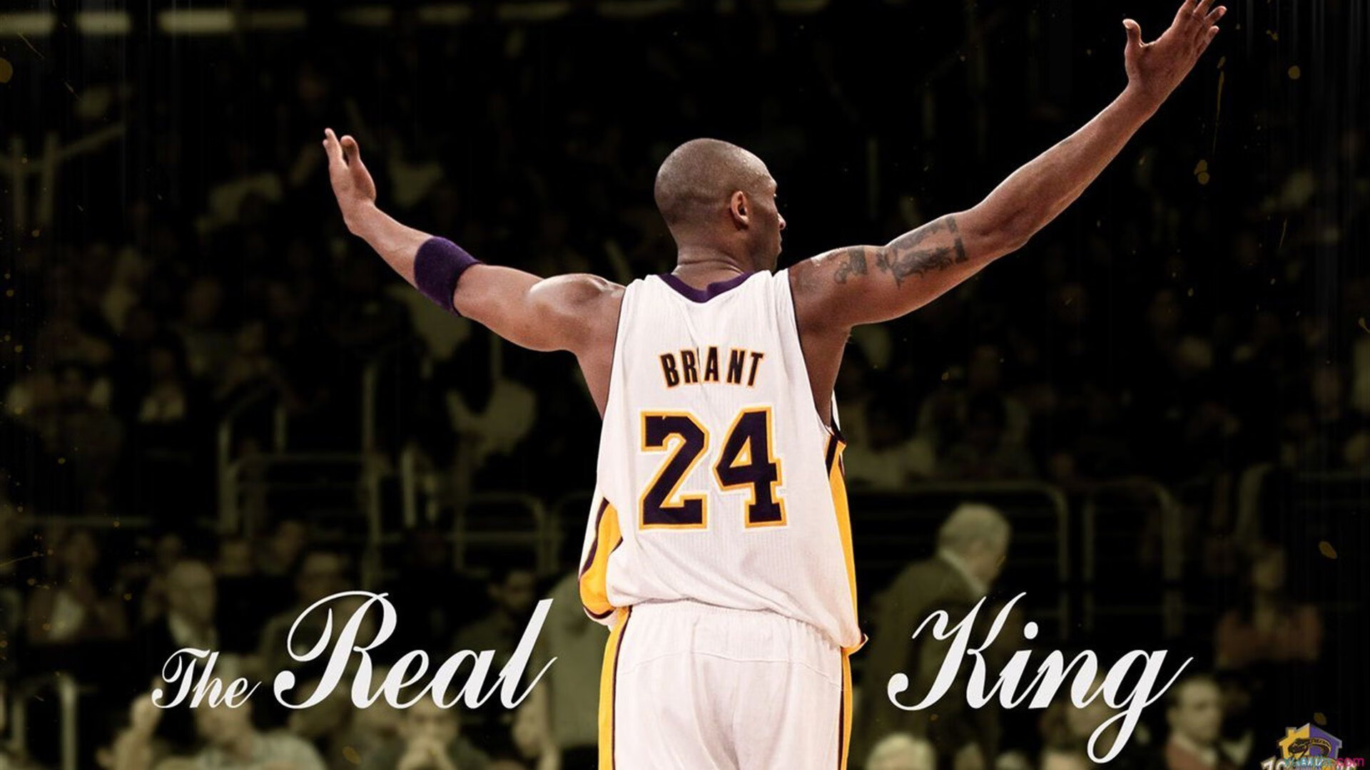 篮网公布球员饮食搭配标准保证营养摄入，篮网球员分析